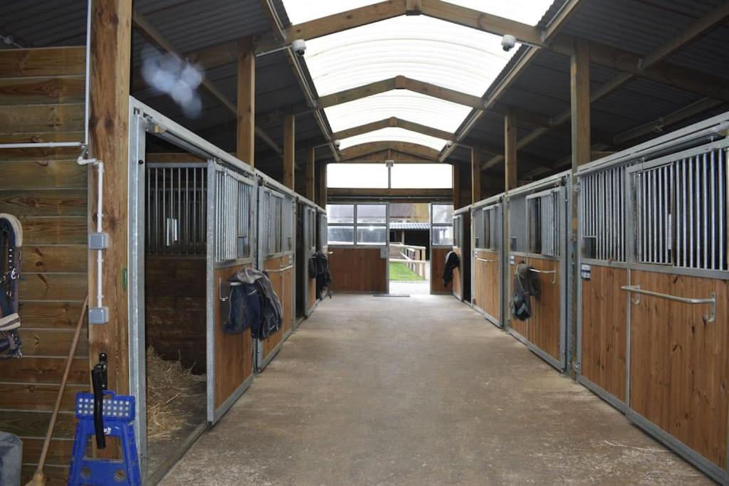バーヴルケン Haras De Connincthunヴィラ エクステリア 写真